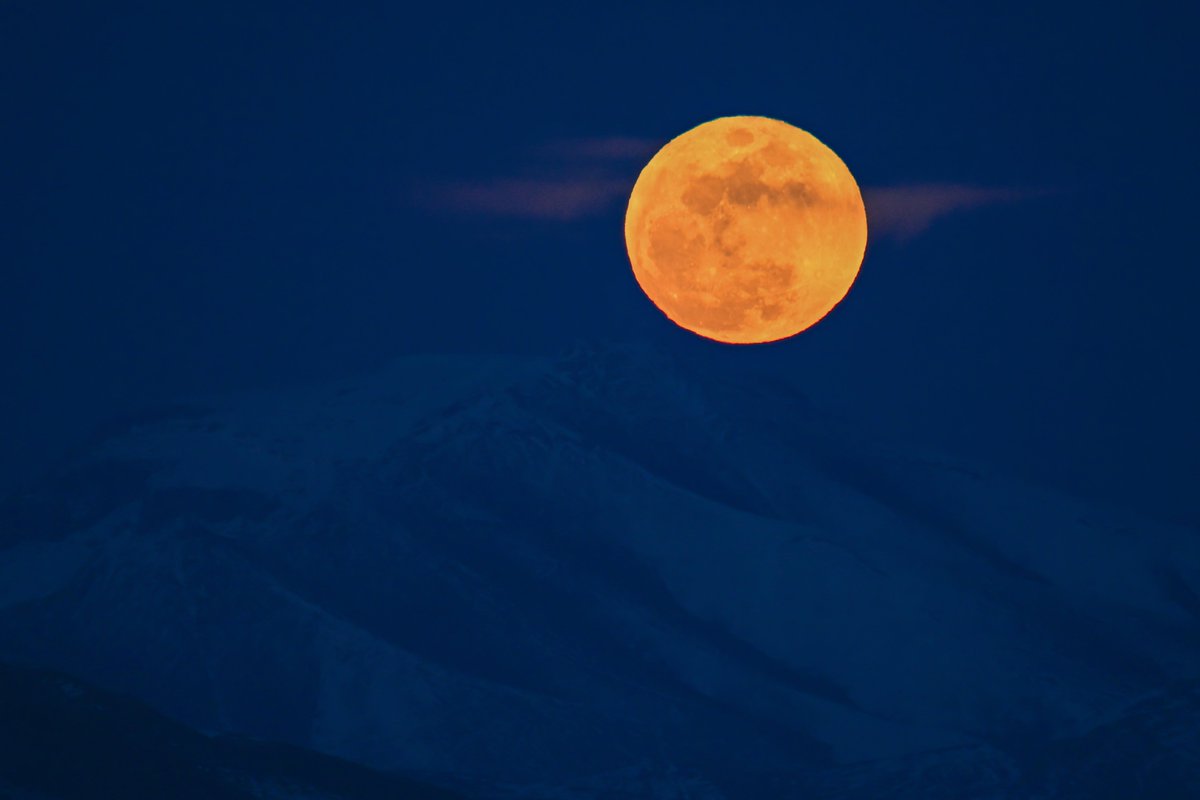 Vanlife65 tweet media