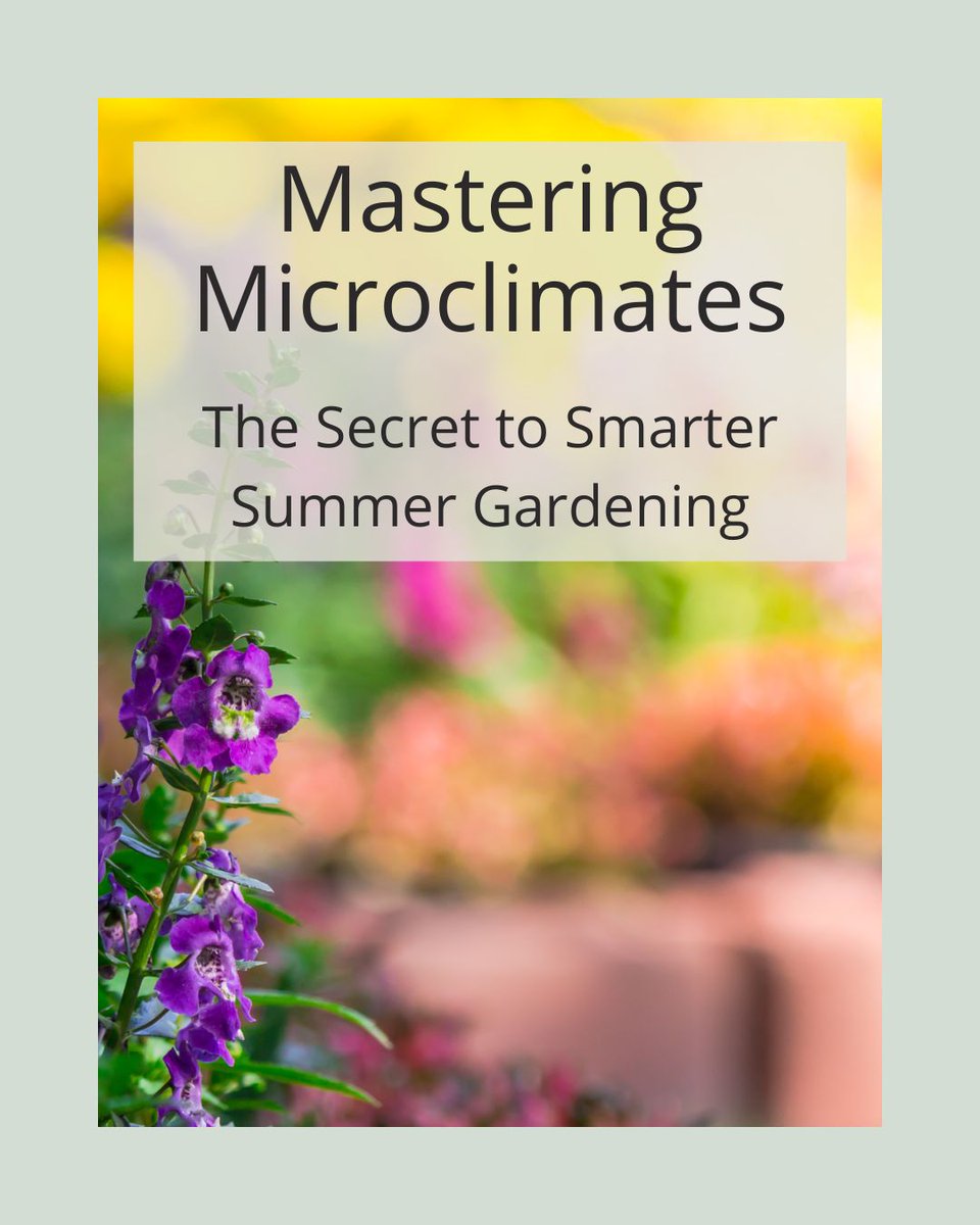 Agriscaping's tweet image. Your garden has hidden zones with their own weather 🌤️
Microclimates = mini-ecosystems that help you grow smarter, not harder 🌿
Map them out for better plant health &amp;amp; summer resilience
👉 agriscaping.com/mastering-micr…
#MicroclimateMagic #SmartGardening #Agriscaping #GardenTips
