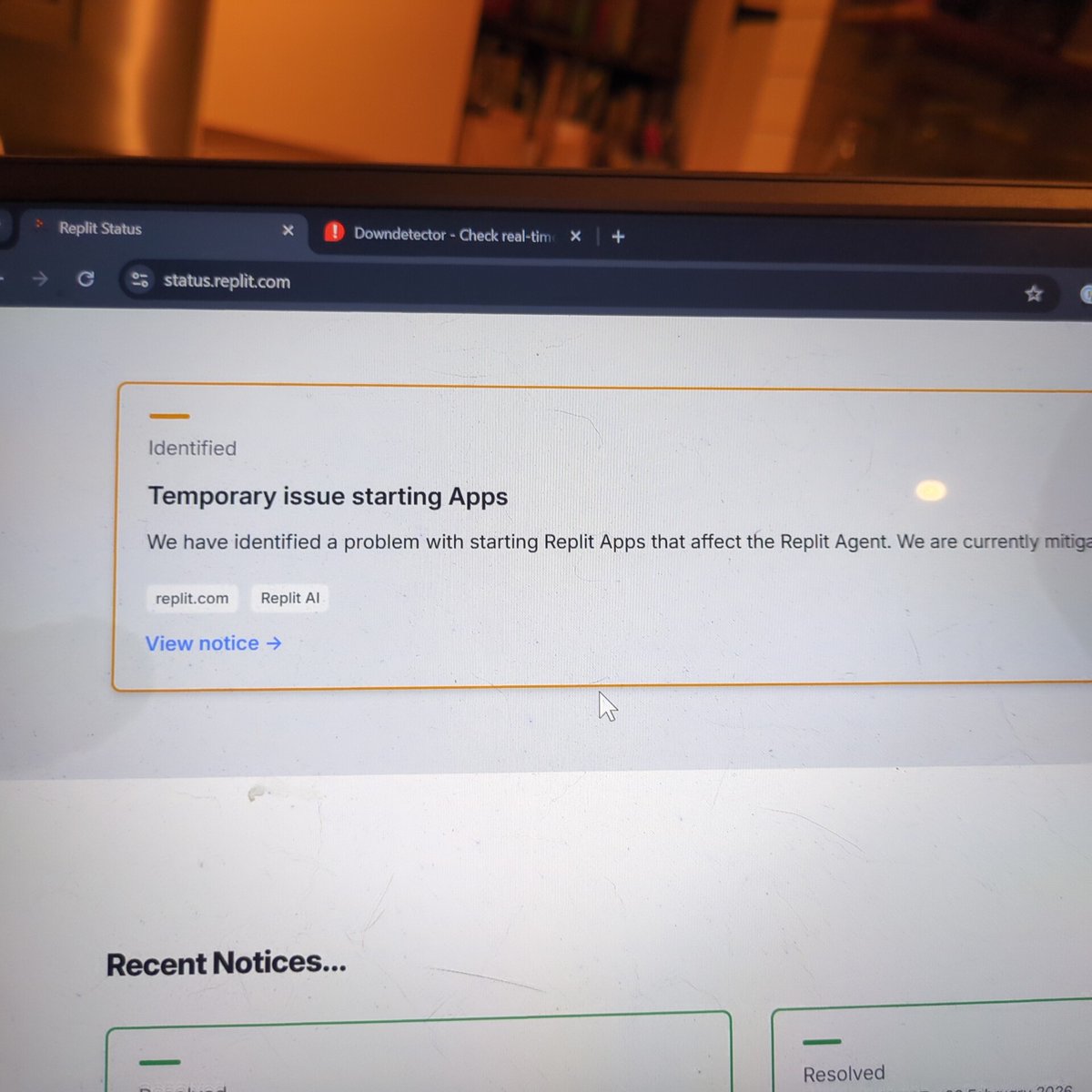 Tom Greenwood tweet media