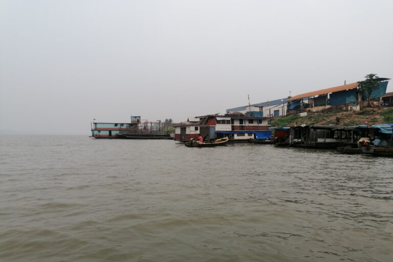 Mongabay Latam tweet media