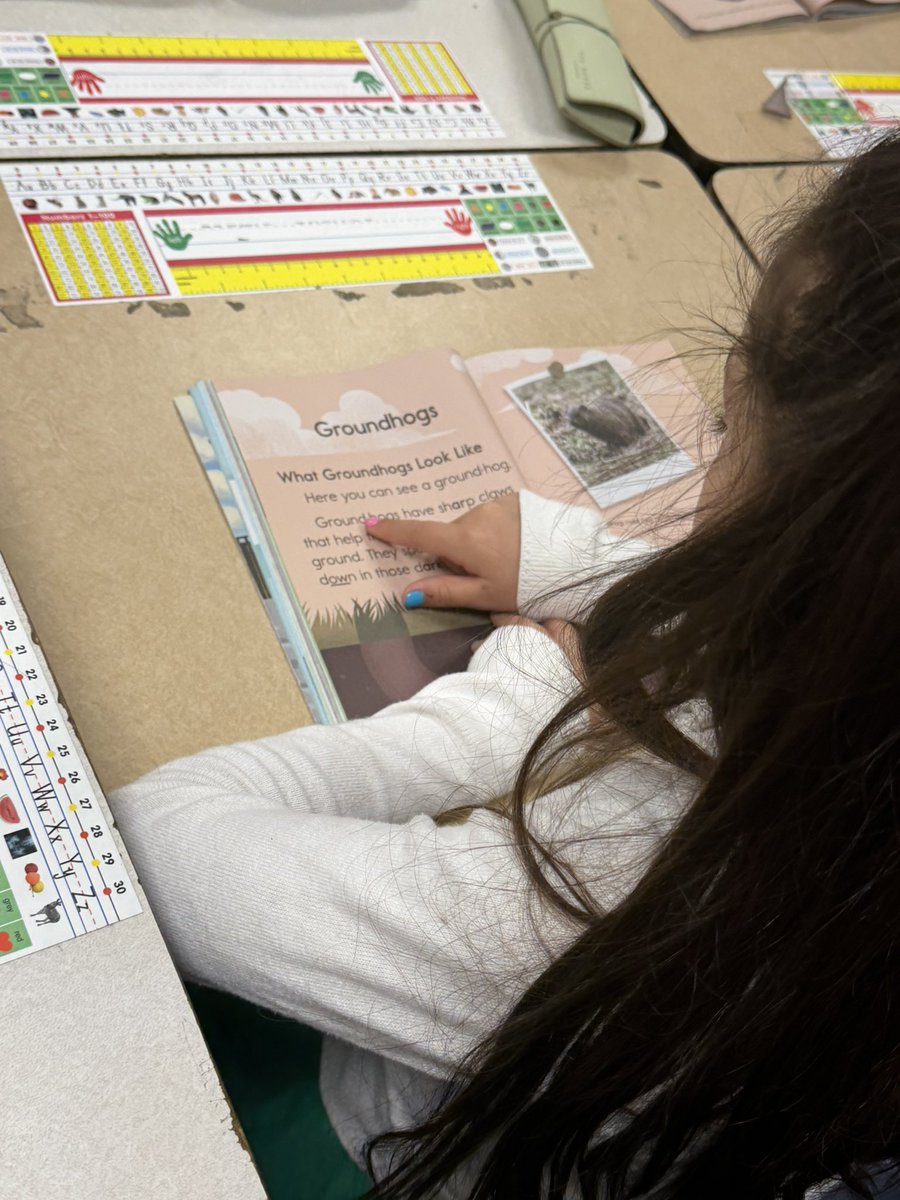 Ashlee_C_'s tweet photo. Our commitment to Student Experience means something concrete: creating classrooms where phonics instruction is explicit, engaging and purposeful. We’re preparing students not just to read, but to thrive and access the opportunities they deserve! @FranksElem @MISDTandL https://t.co/yZ4PEQLnVe