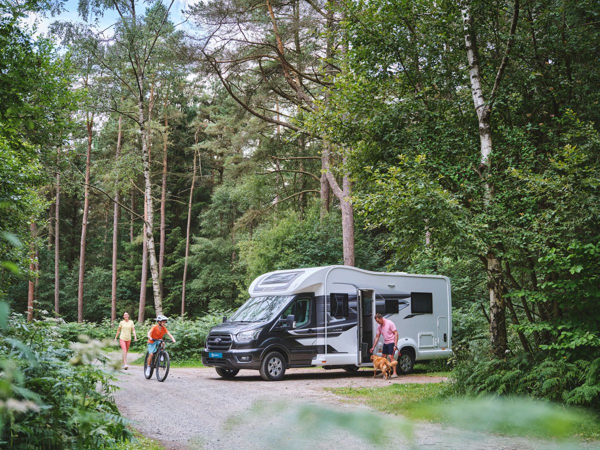 Swift Group tweet media