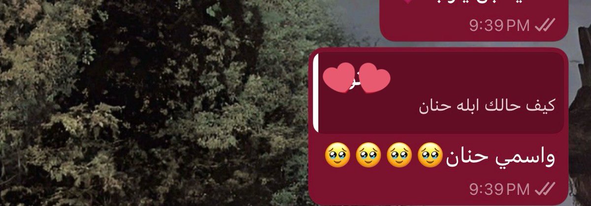 Hanan 𐙚 tweet media