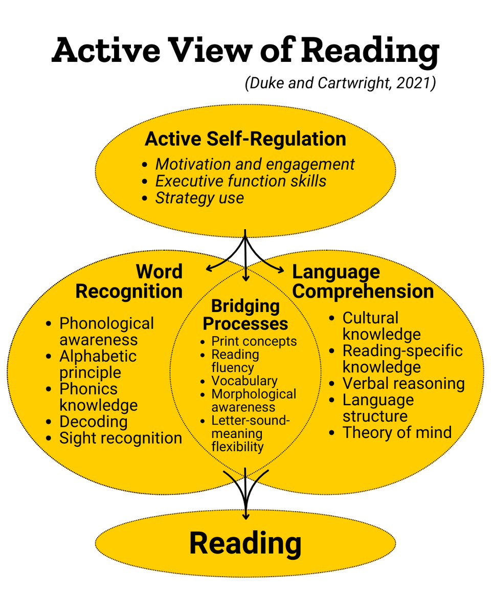 IAReading's tweet photo. What is the active view of reading and how well do its components predict overall student reading achievement? Find out what the research says in our blog post: https://t.co/x7miSHmqrr https://t.co/3et8nqroko