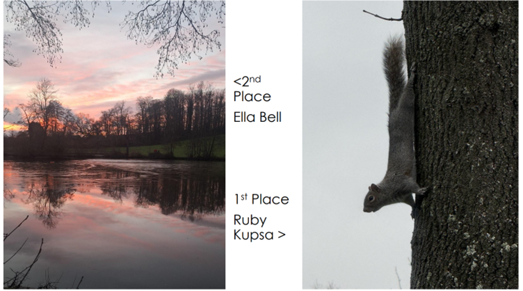 BournvilleSch's tweet photo. Congratulations to Ella and Ruby, winners of our Winter photography competition! Fabulous photographs, worthy winners! 📷#excellence #photography #art https://t.co/J5msVg2u5r