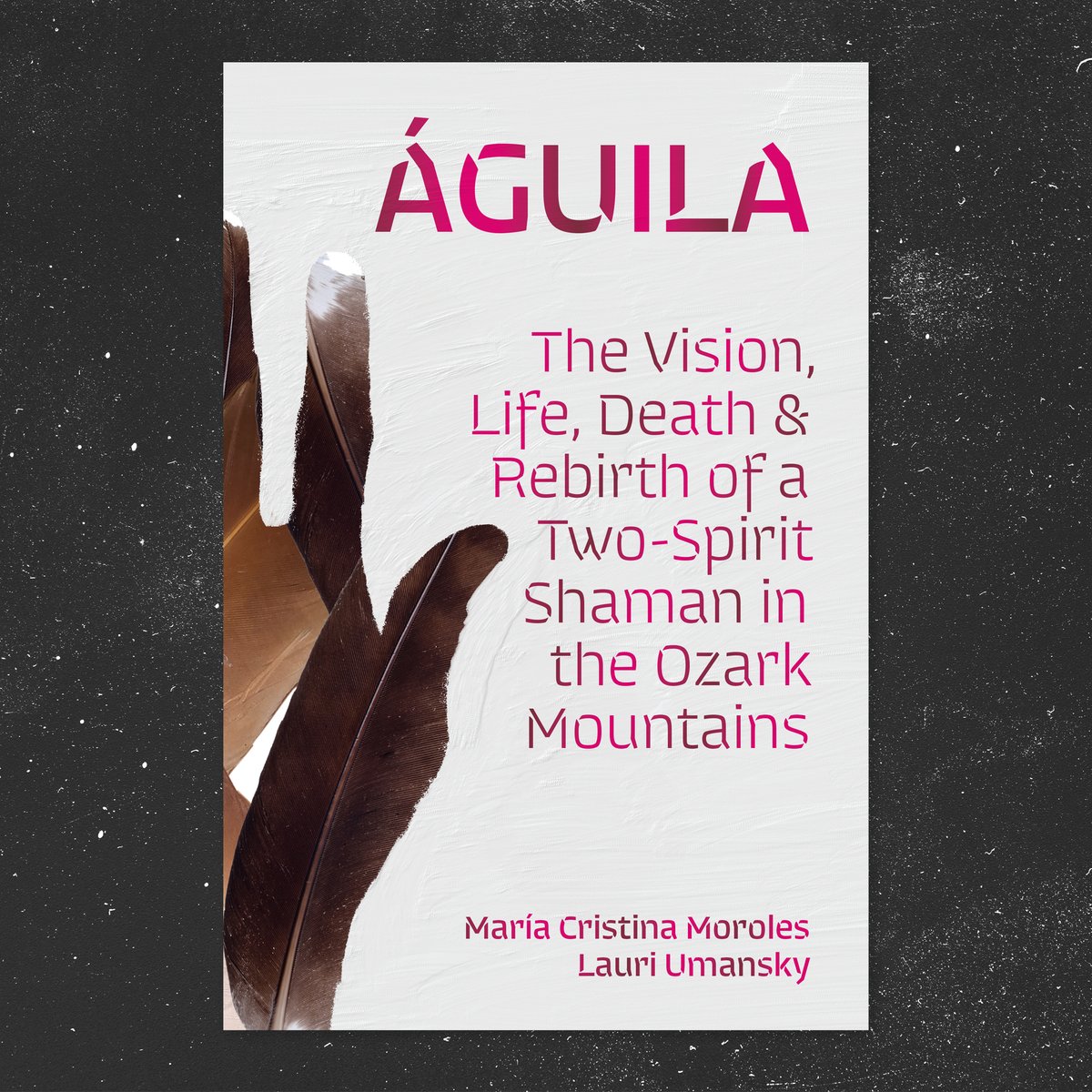 Univ. of Arkansas Press tweet media