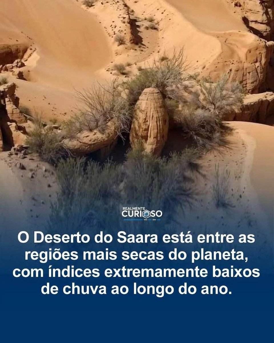 Você sabia?