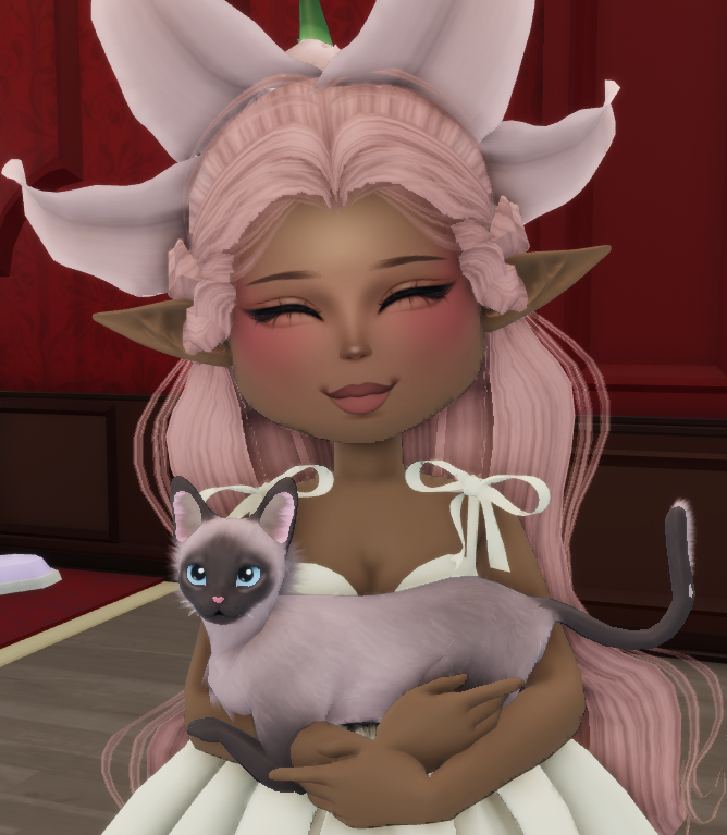 sara 🍊 tweet media