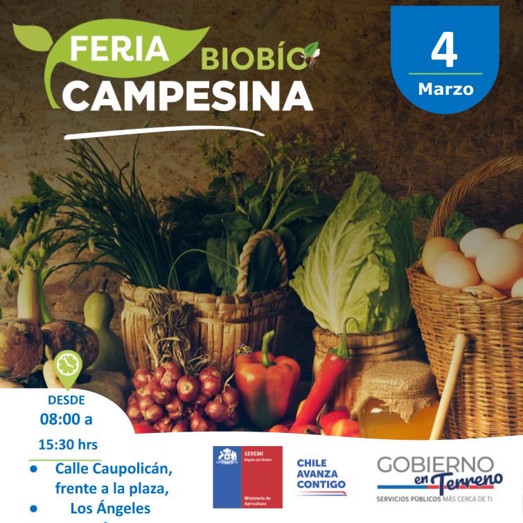 Minagri Biobío tweet media