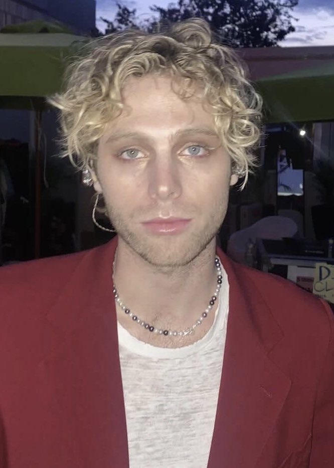 i’m mourning blonde luke hemmings this is so serious for me you don’t understand