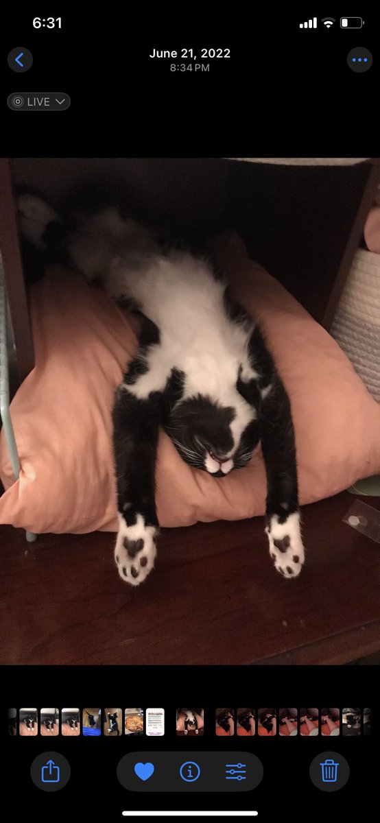 everyone say happy 4th birthday to my gremlin baby angel