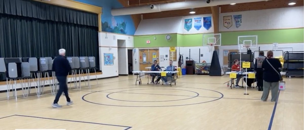 Elecciones primarias de 2026: más personas votan anticipadamente laconexionusa.com/elecciones-pri…