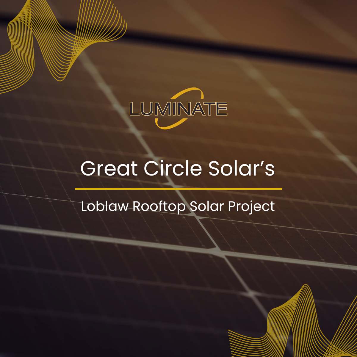 Luminate, LLC tweet media