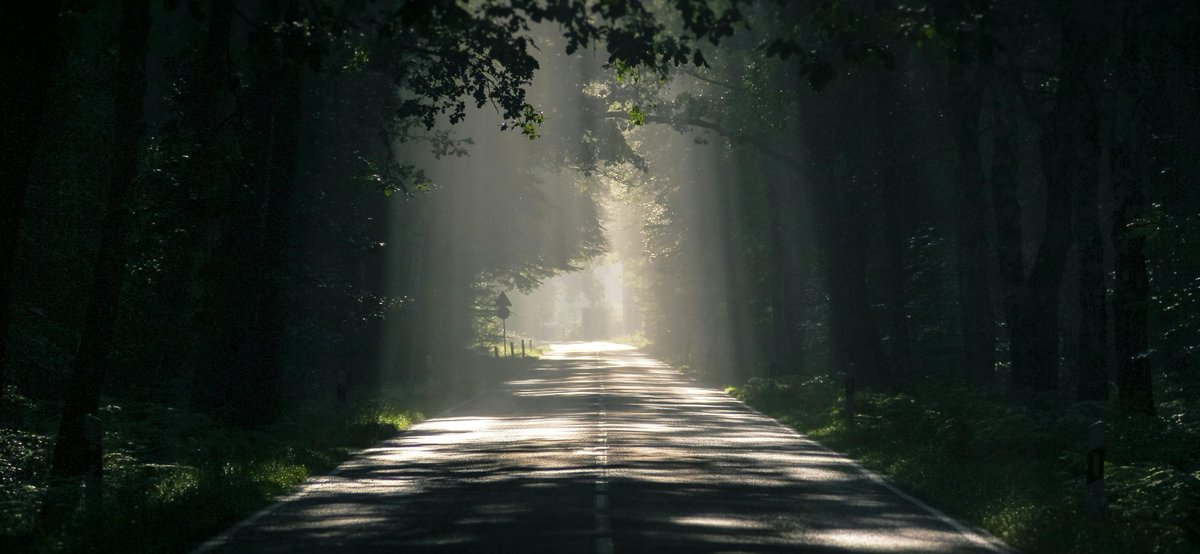 محمد بديري tweet media