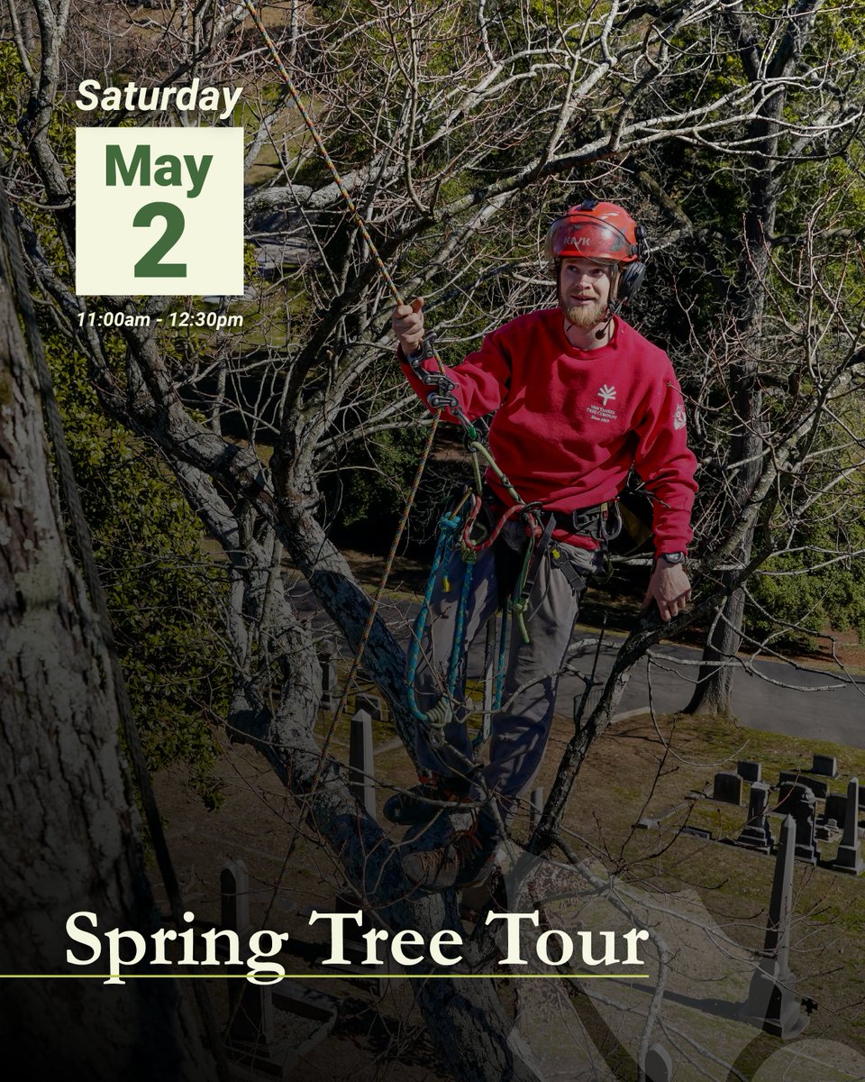 Hollywood Cemetery tweet media