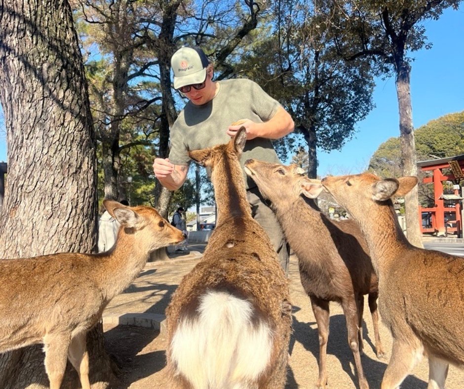 Prograin tweet media