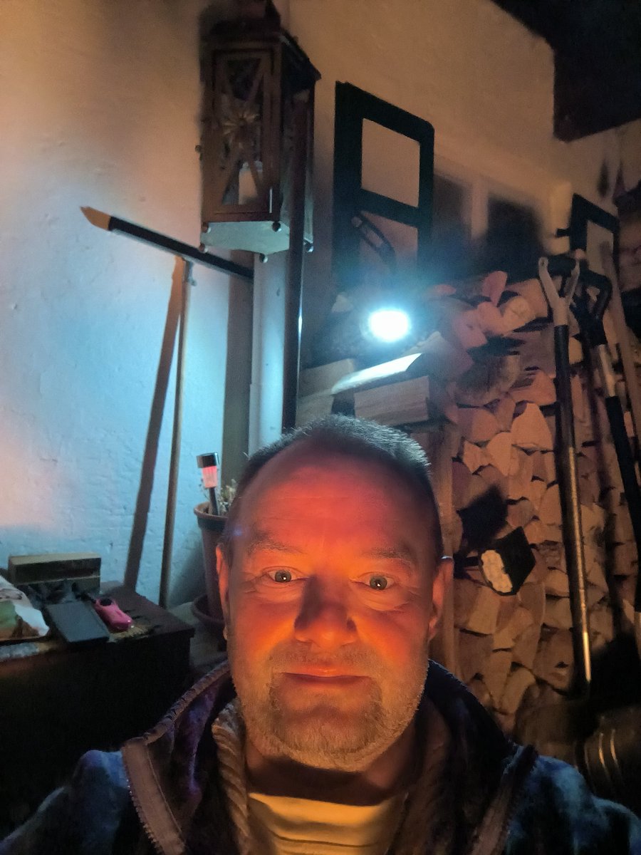 Anton lipp tweet media