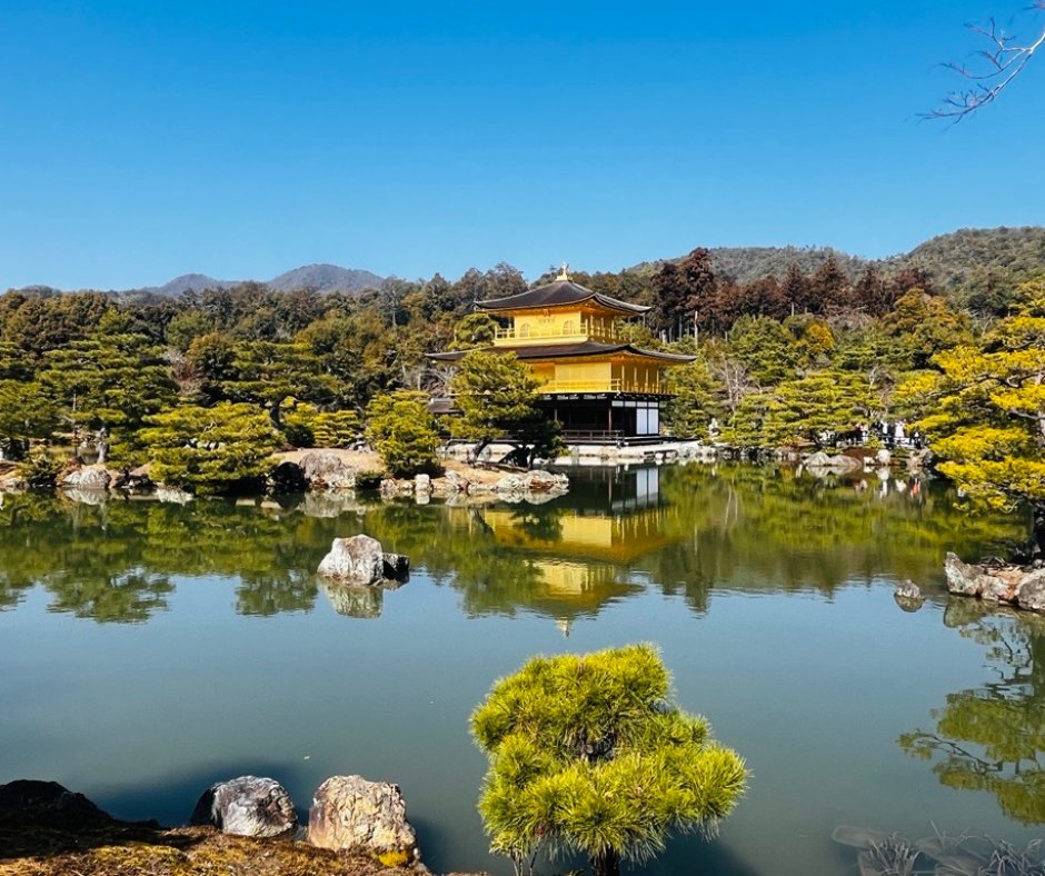 Prograin tweet media