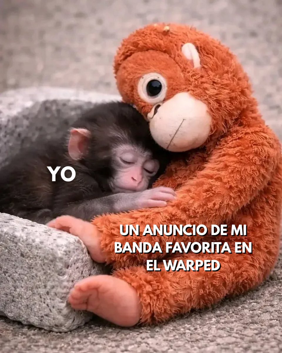 Vans Warped Tour México tweet media