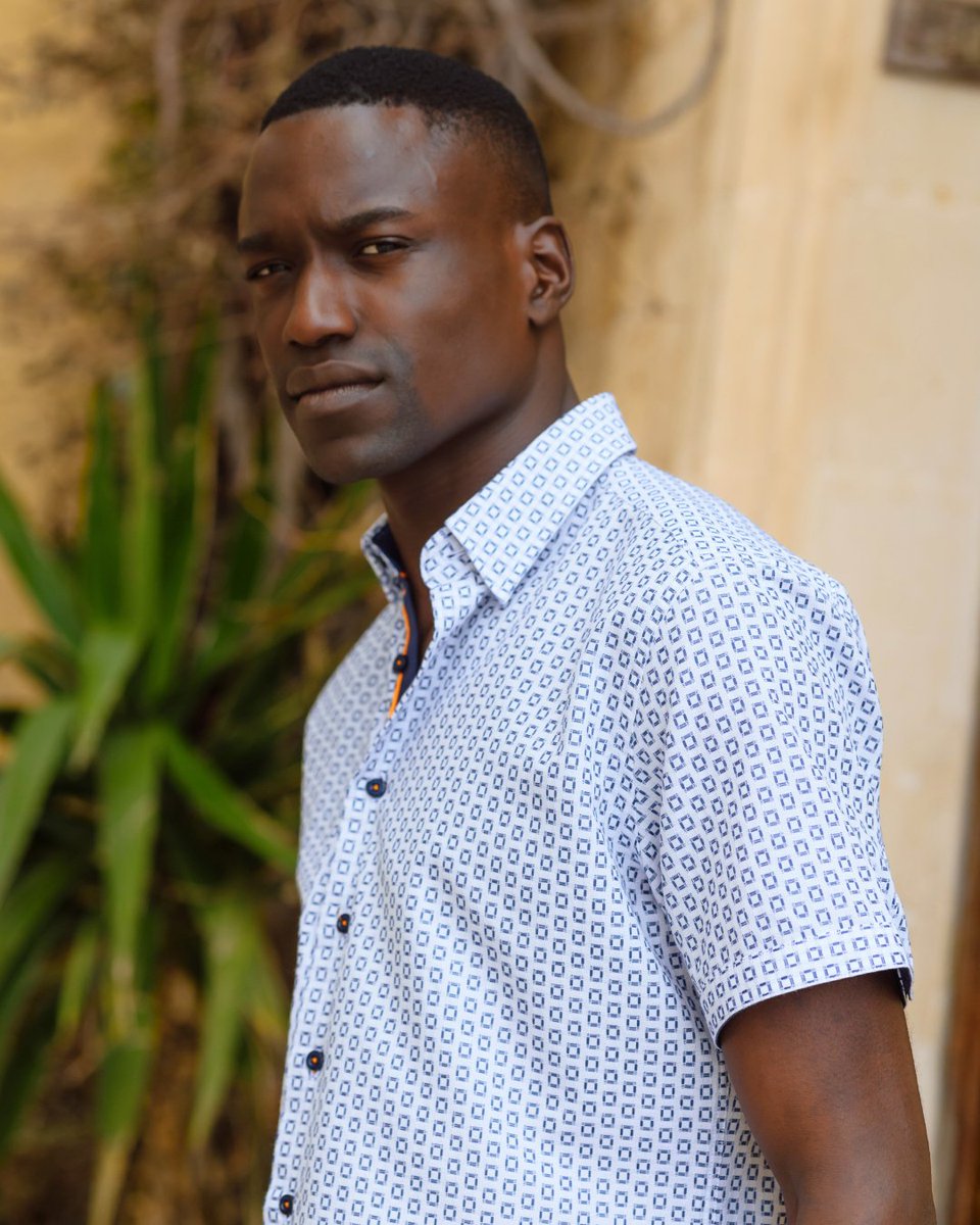 Hammer Made tweet media