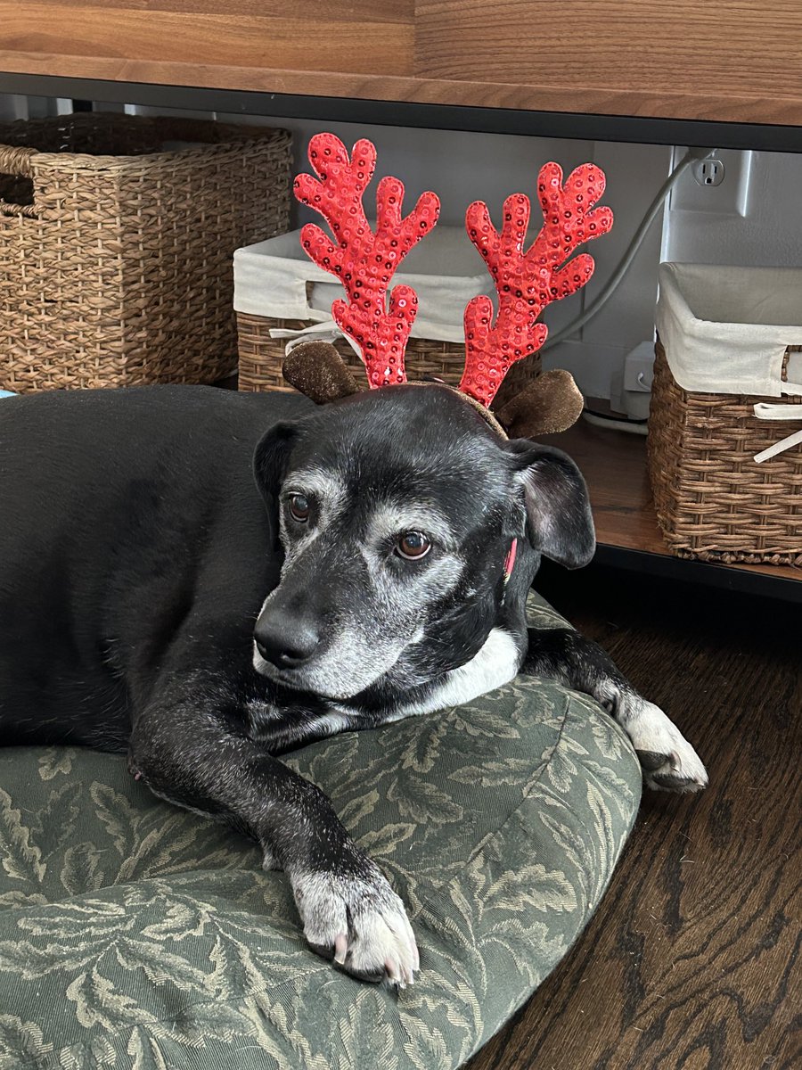 michaelvsmith's tweet photo. I like to think that the other side is a little bit sweeter today…a little bit more caring and gentler…a little bit better off today. A sweeter soul, never there was. #Sallygirl https://t.co/7UzxBxiP9L