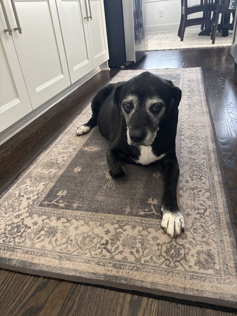 michaelvsmith's tweet photo. I like to think that the other side is a little bit sweeter today…a little bit more caring and gentler…a little bit better off today. A sweeter soul, never there was. #Sallygirl https://t.co/7UzxBxiP9L