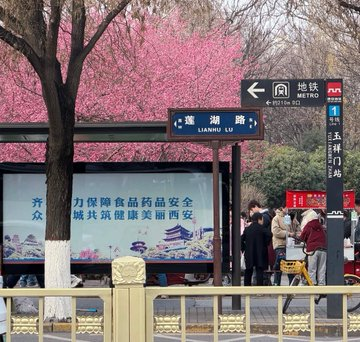 小高的日记本 tweet media