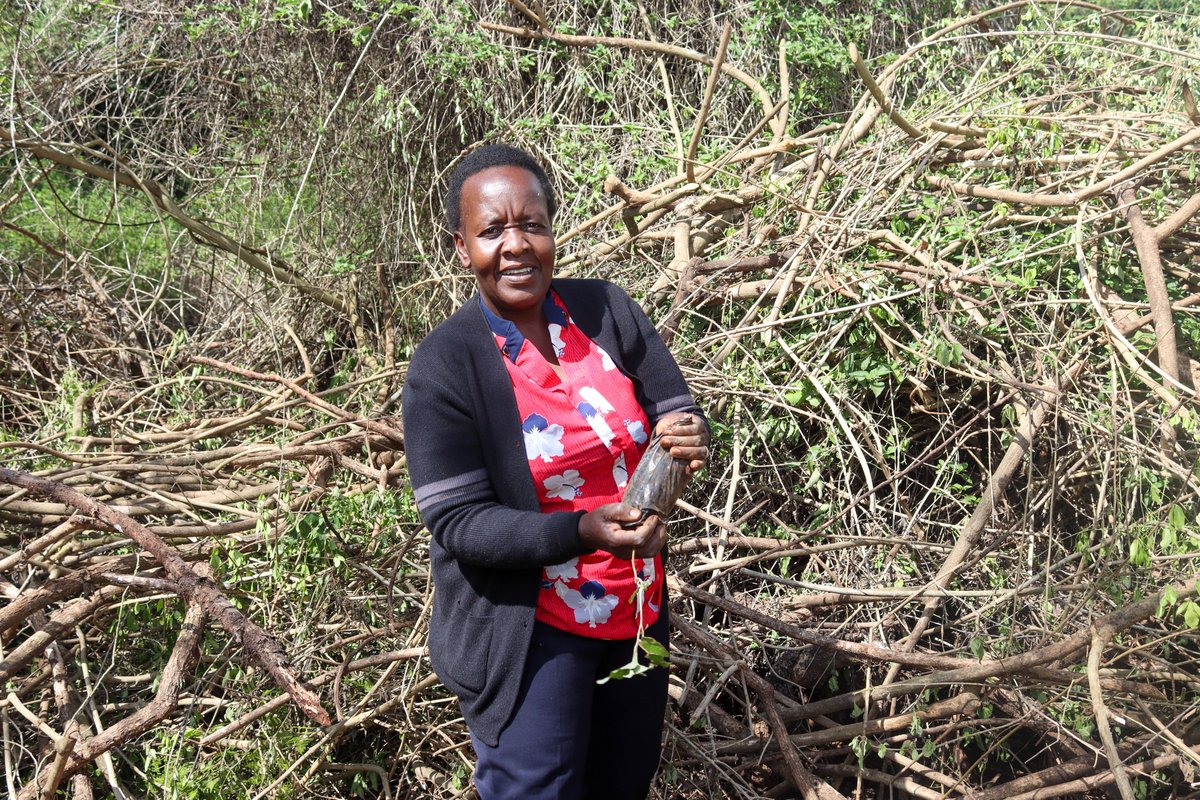 Kenya Institute of Primate Research - KIPRE tweet media