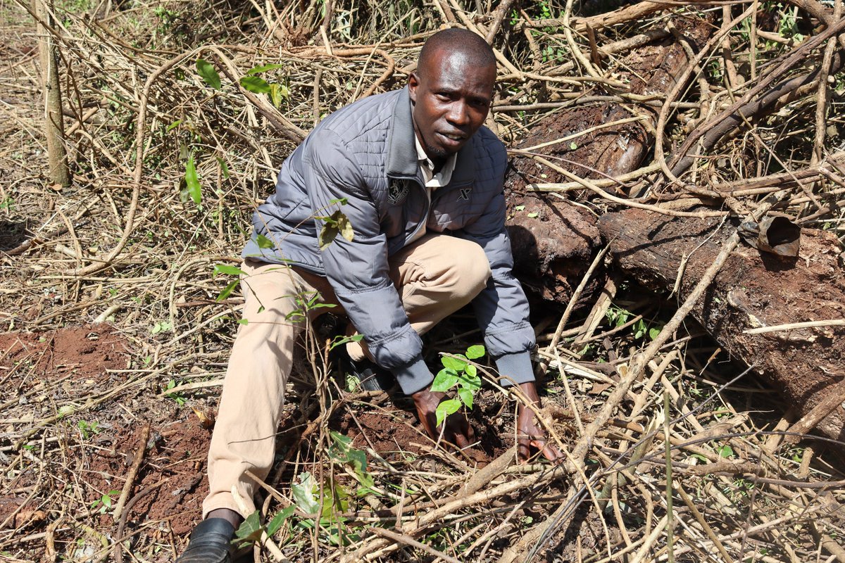 Kenya Institute of Primate Research - KIPRE tweet media