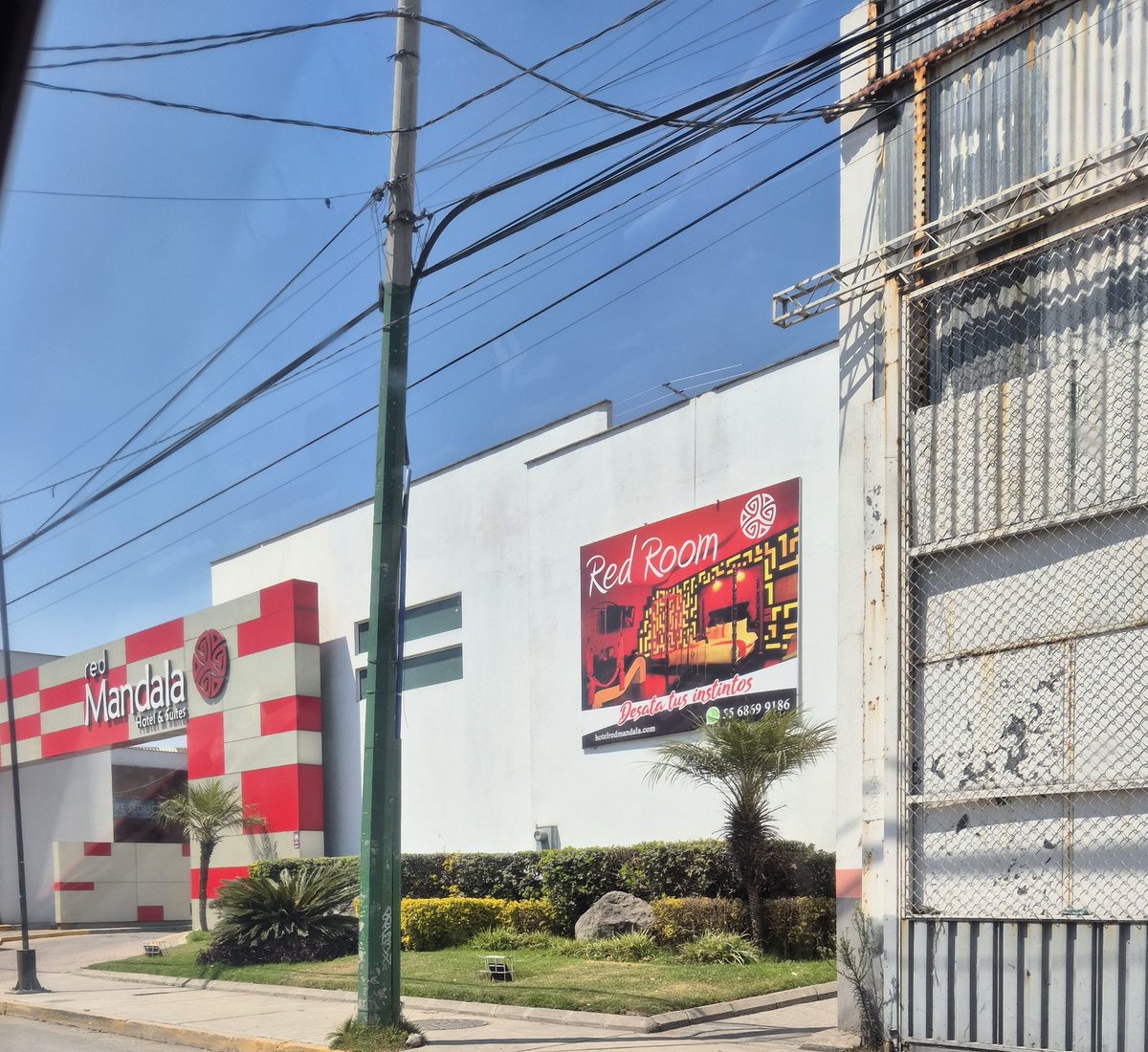 🩷🩵🎀Lila🎀✨🫧🌈🦄 tweet media