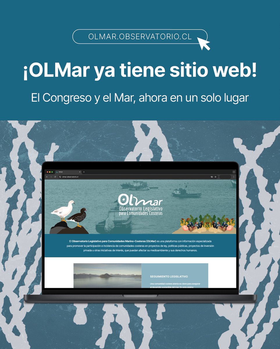 Observatorio Ciudadano tweet media