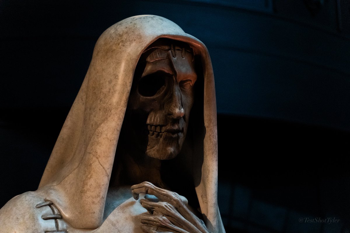 Test Shot Tyler tweet media