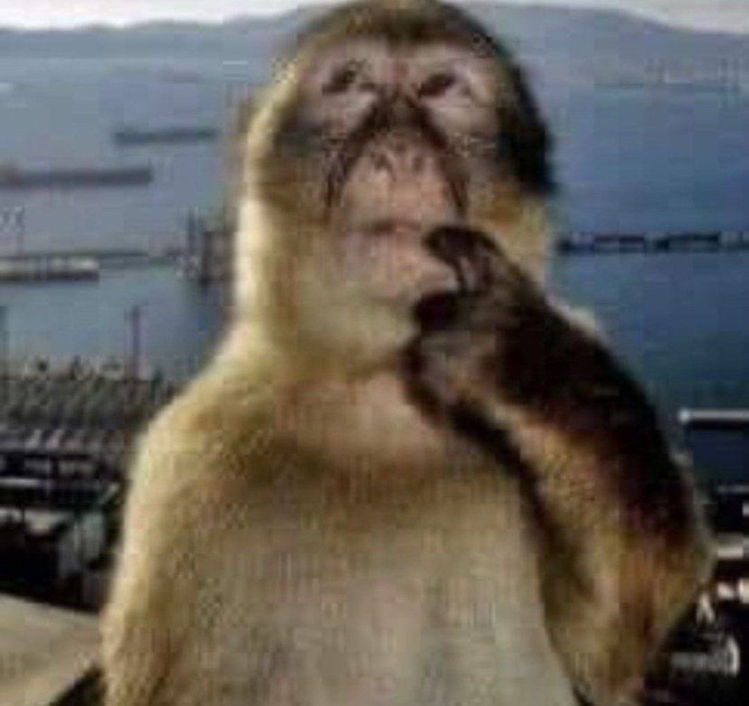 Osimhen sonrası Onuachu cekmek