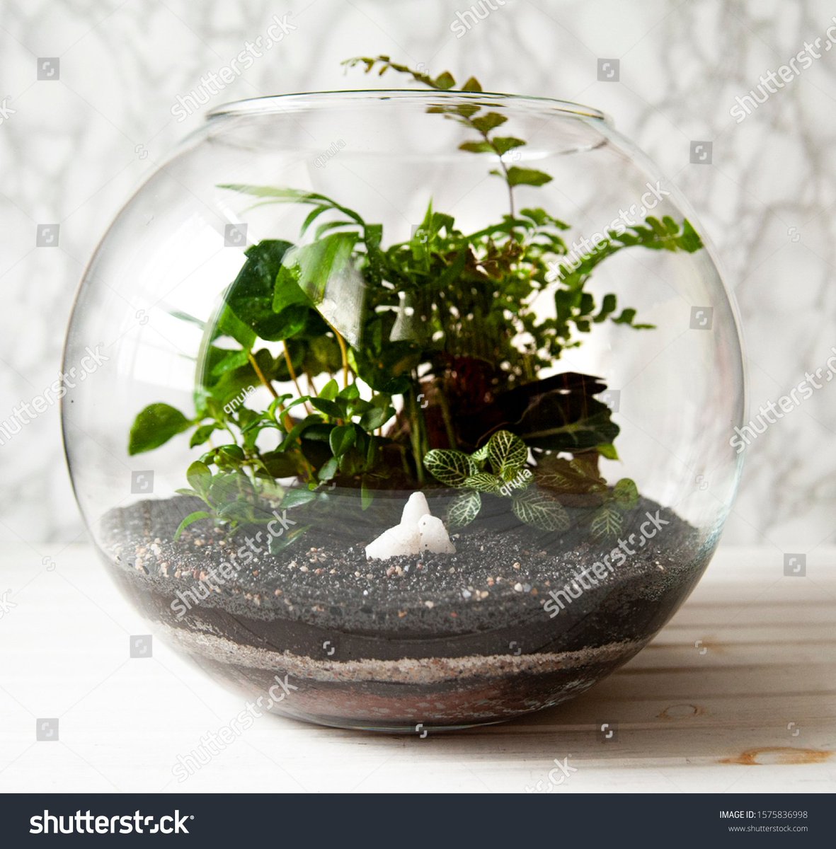 Maths teacher tweet media