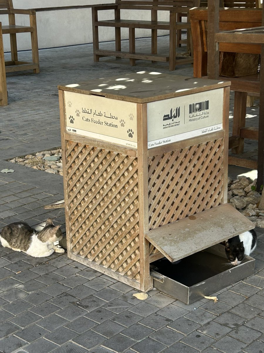 ahmed baokbah 🇸🇦 🏎️🛩️ tweet media