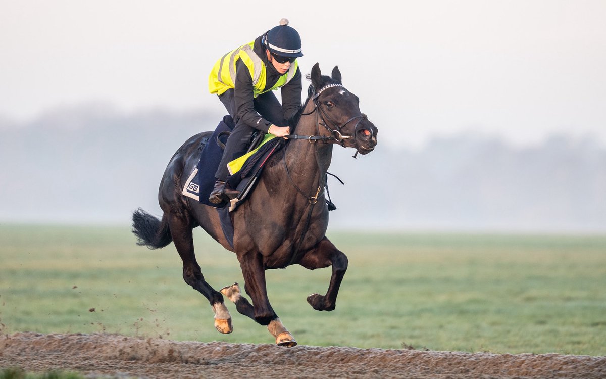 George Boughey Racing tweet media