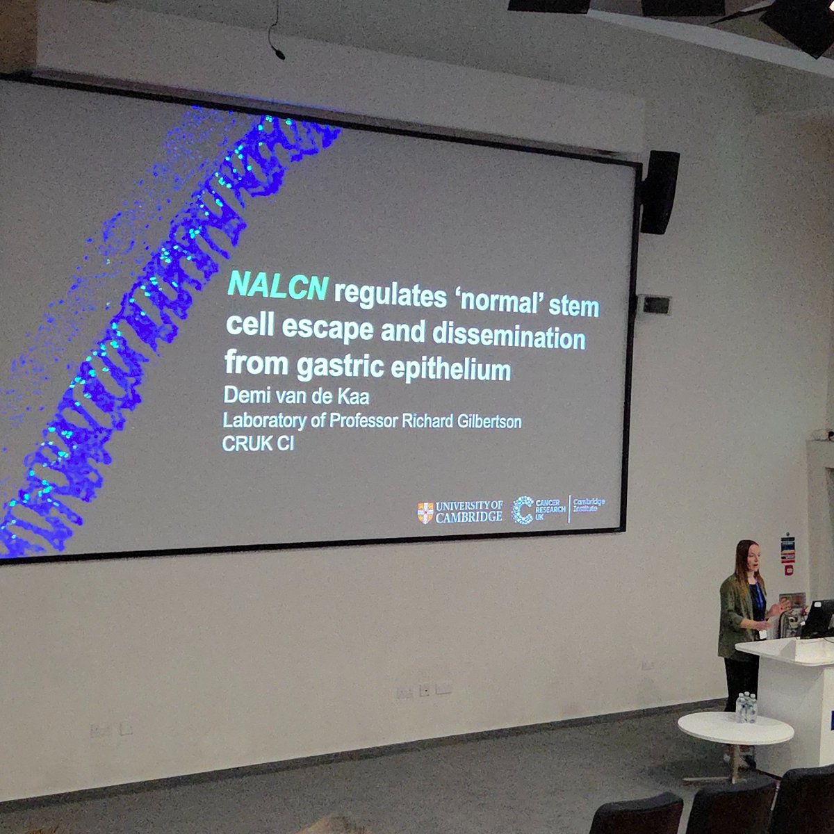 The Gilbertson Lab tweet media