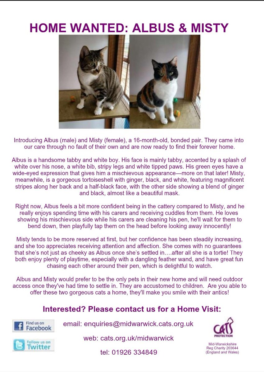 MidWarwickCats tweet media