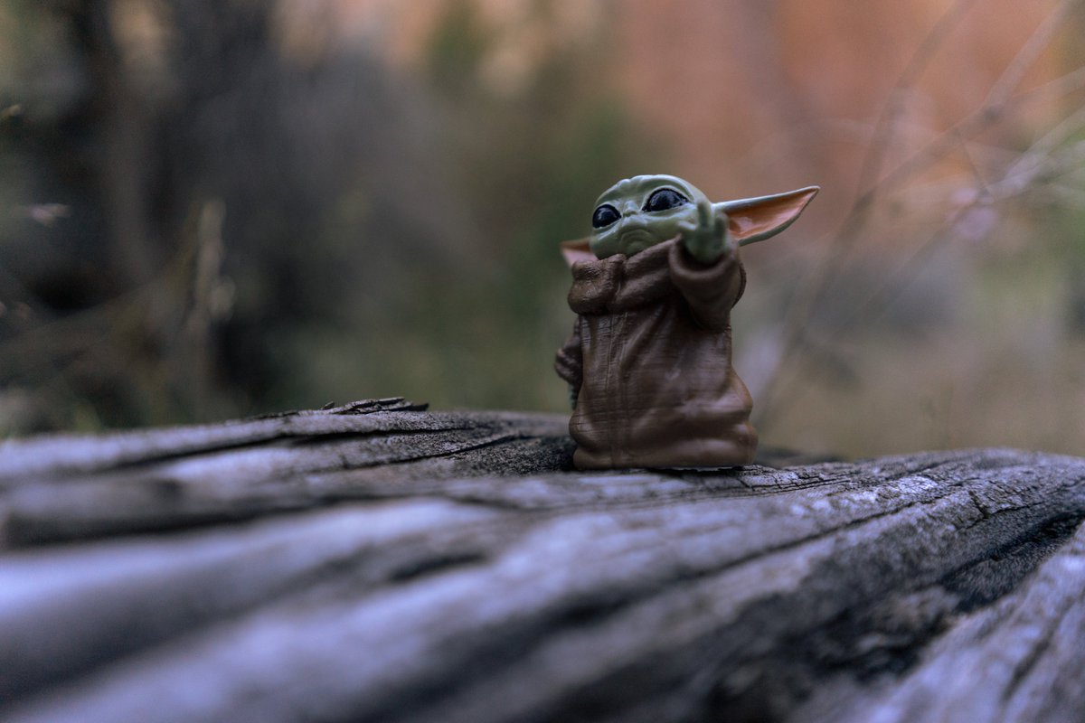 FictionCraig's tweet image. WRITER’S SUPPORT GROUP: Still an empty page after what seems like an age? As Yoda would say: “A break you must take.” #AmWriting, #Writingtips, #Writers, #WritersBlock, #WritingCommunity, #5amWritersClub (Photo by Jimmy Nguyen on Unsplash)