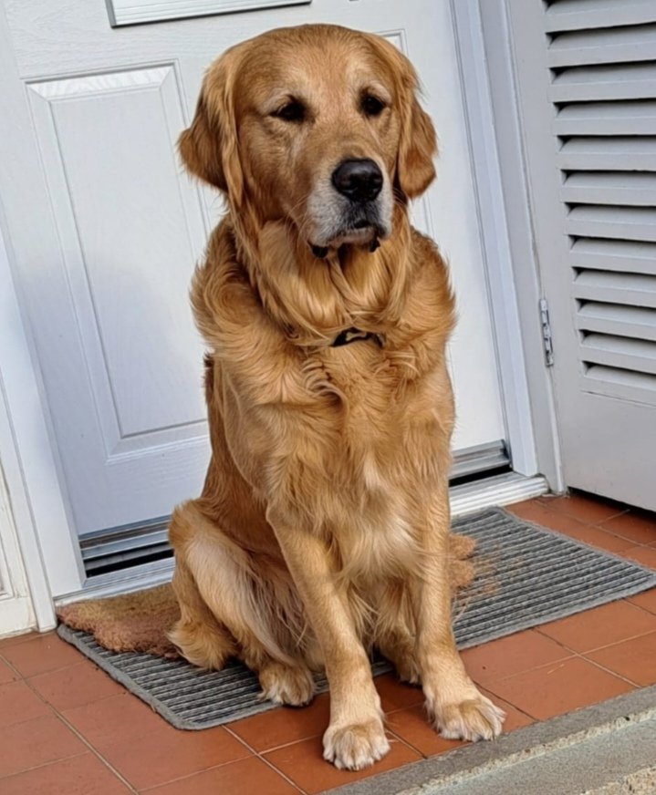 Carlos Shires (@carlosshires) on Twitter photo 