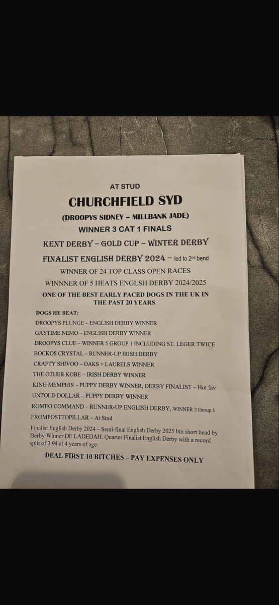 CHURCHFIELD SYD AT STUD tweet media