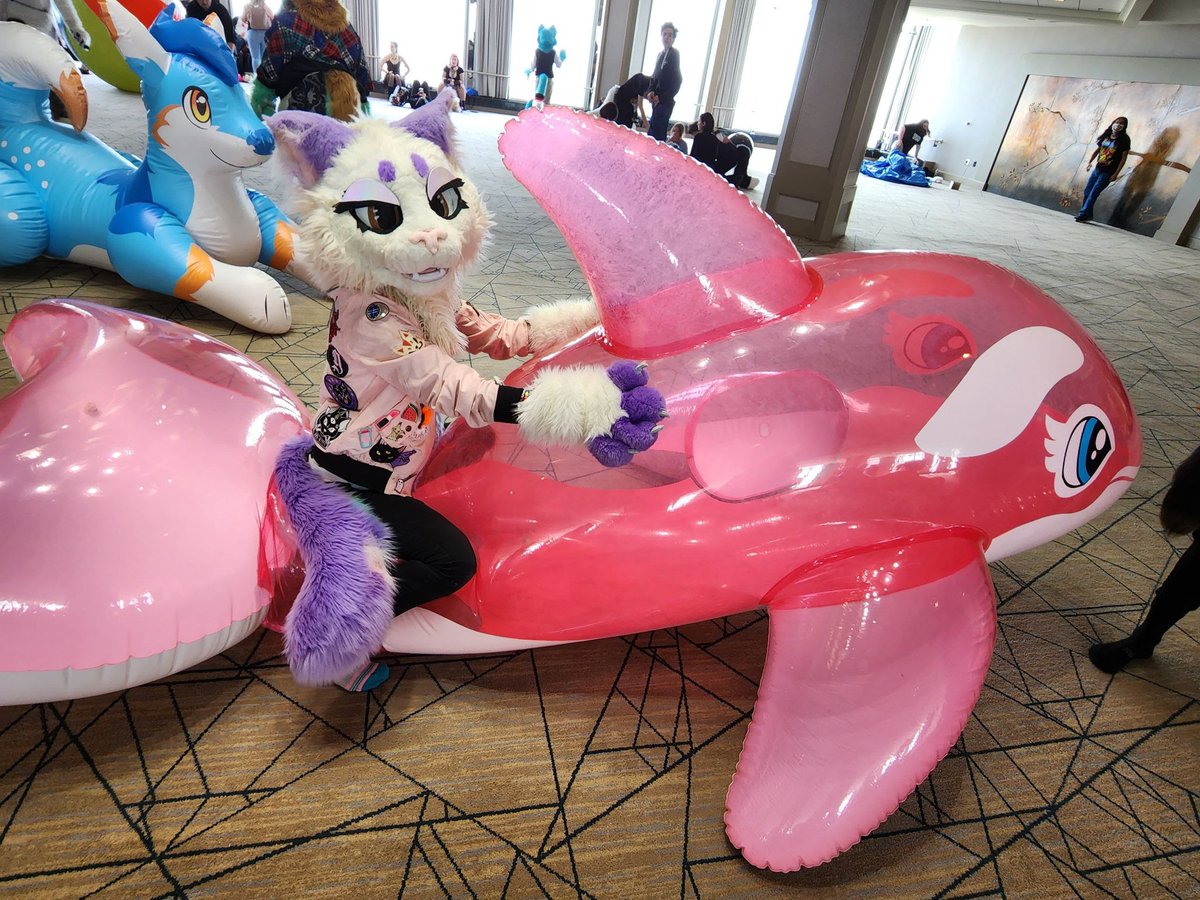 CalliopeCream's tweet photo. So excited for TFF.  Ill be bringing three whales, big paw and jack Darlington 😻 https://t.co/kfB635RBOP