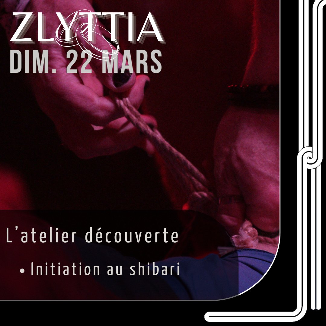 Archipel Shibari Lyon tweet media