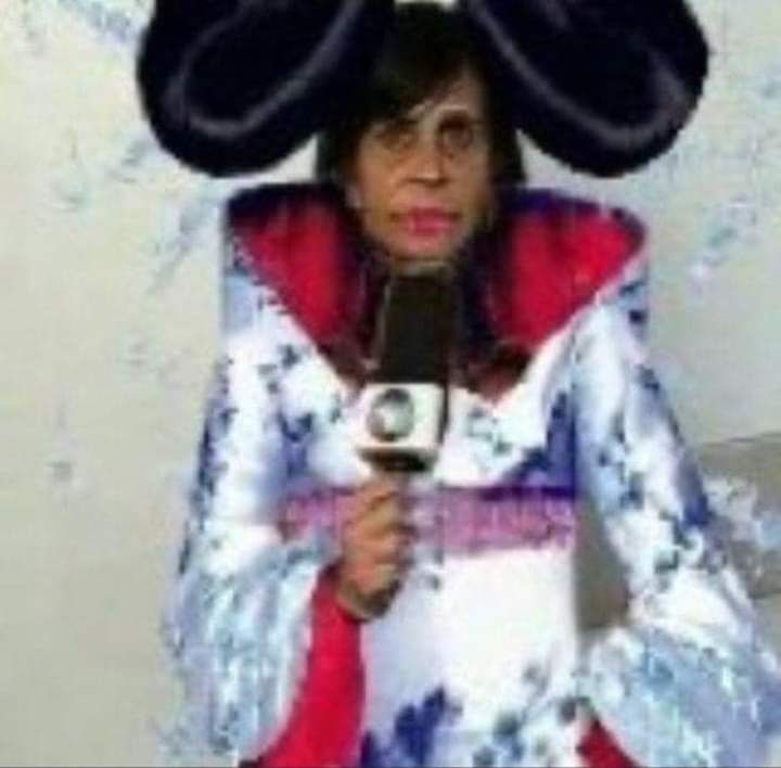 acervö björk tweet media