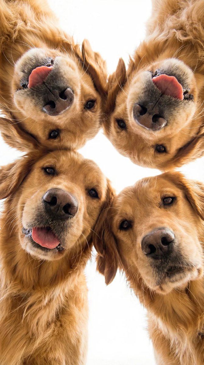 Silver (@silver_ceo) on Twitter photo 