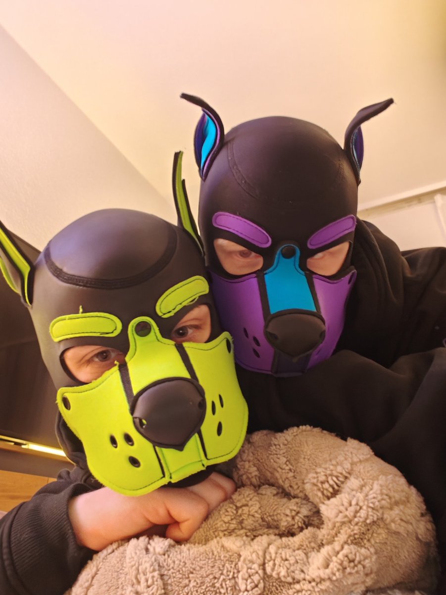 Pup Meta tweet media