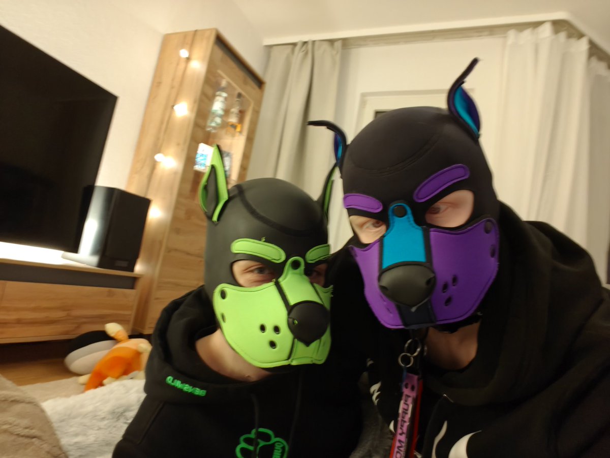 Pup Meta tweet media