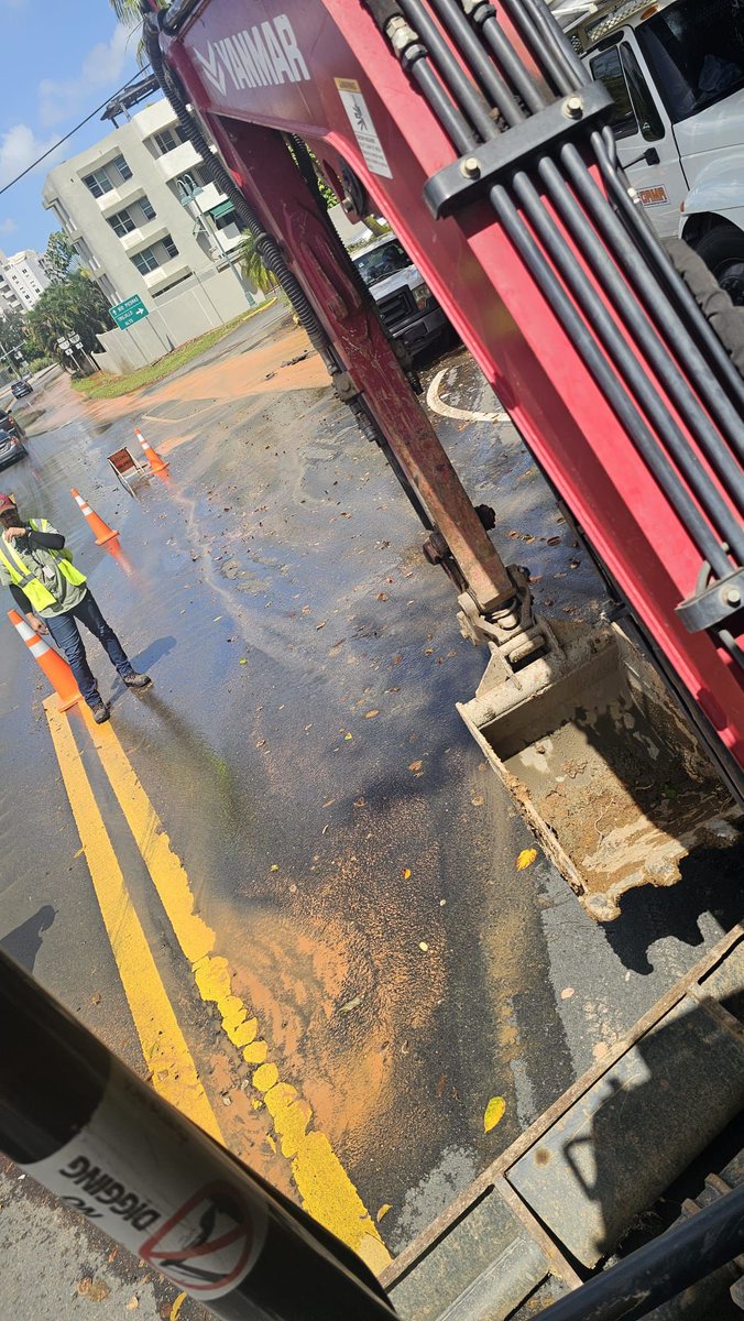 Hon.Jorge Navarro tweet media