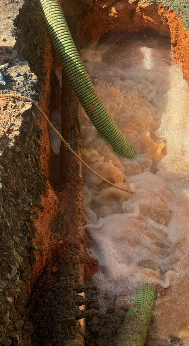 Hon.Jorge Navarro tweet media