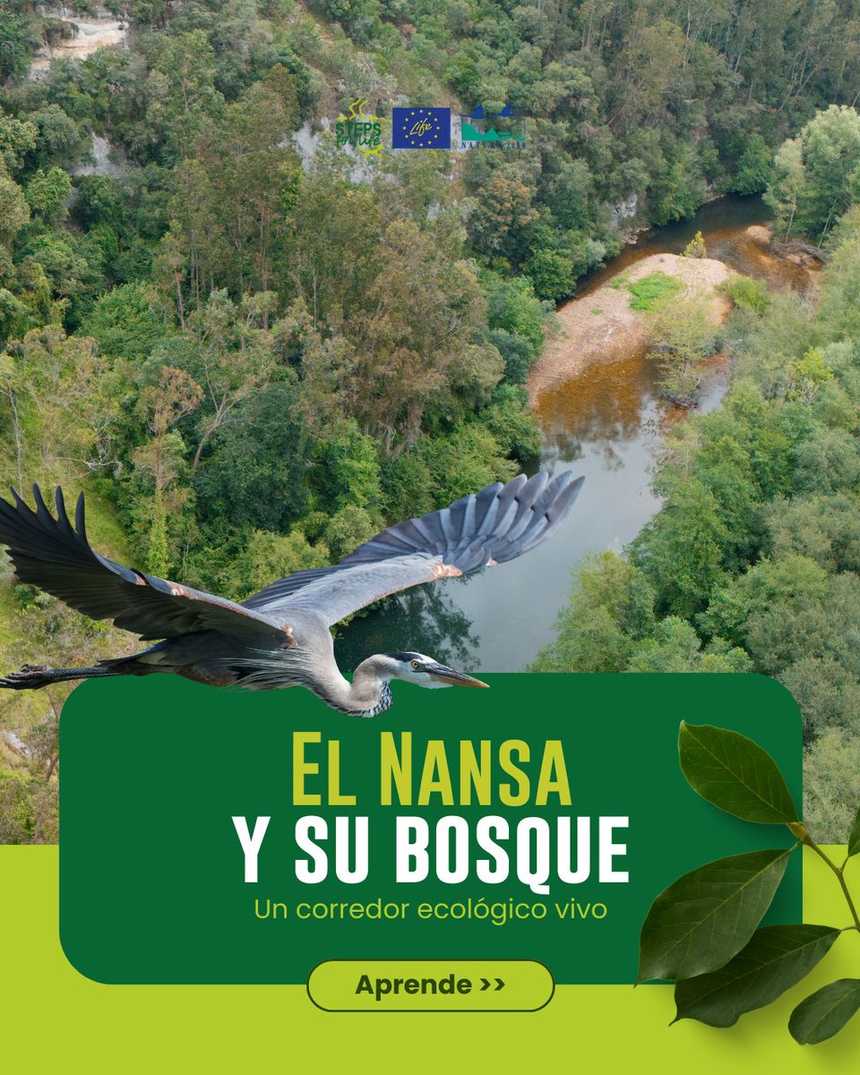 Steps for LIFE tweet media